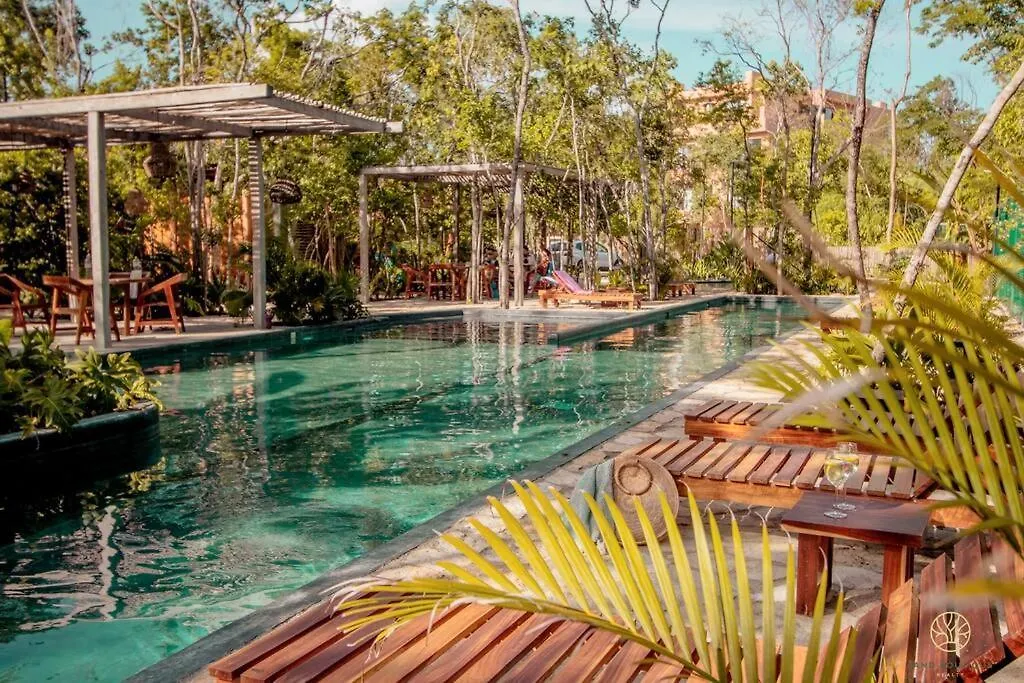 The Savia House - Rooftop & Gym Tulum 0*,